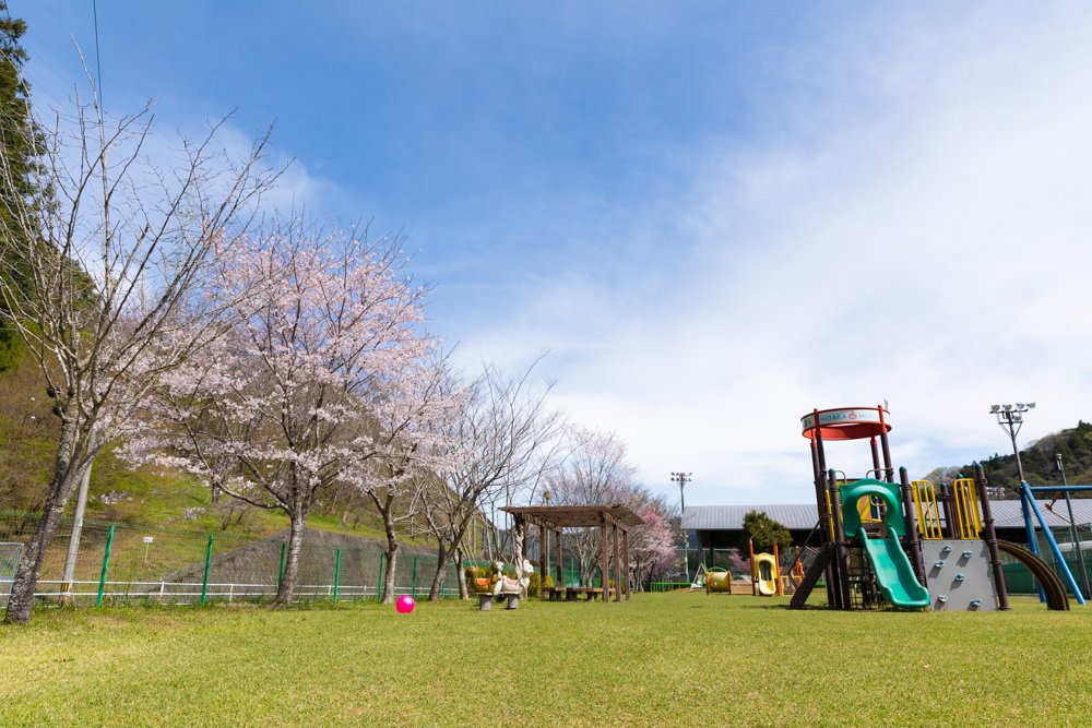 🌳 히다카 종합공원 (日高総合公園) 이미지 4